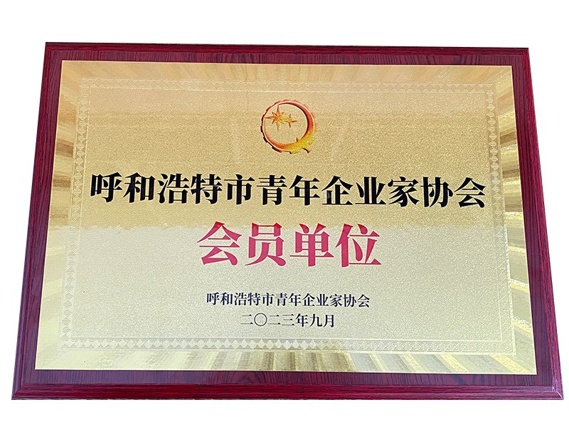 青年企业家协会会员