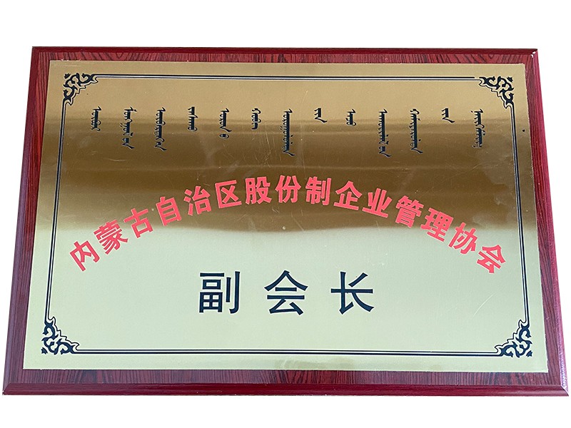 企业管理协会副会长